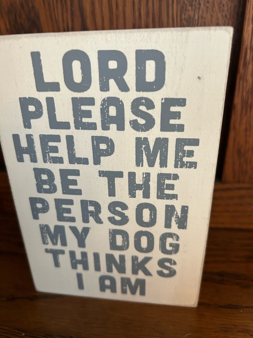 White Wall Plaque with Gray Lettering - Humorous Dog Prayer Decor